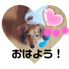 [LINEスタンプ] 東 奈蝶のワンコスタンプ2
