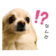 [LINEスタンプ] ツナぴよ⑤