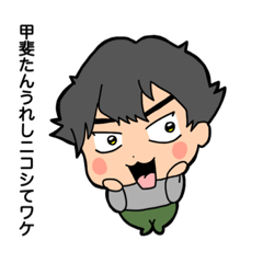 [LINEスタンプ] 甲斐たん毎日使えるスタンプてワケ！