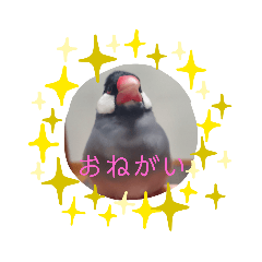 [LINEスタンプ] ピッチ スタンプ②