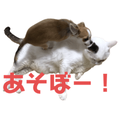 [LINEスタンプ] 5.ピクルス