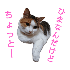 [LINEスタンプ] ポチ子の…