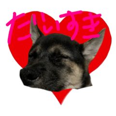 [LINEスタンプ] ぼくれおくん