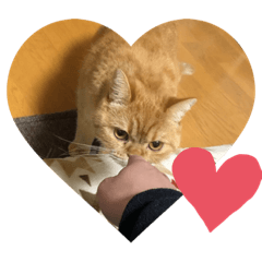[LINEスタンプ] 茶トラねこのちゃあ 3
