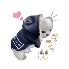 [LINEスタンプ] エガちゃんスタンプ