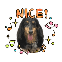 [LINEスタンプ] ミニチュアダックスのおっとりヴィヴィアン