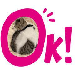 [LINEスタンプ] The feelings of Omochi, the cat
