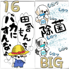 [LINEスタンプ] 【Big】シーズー犬16『何となく日常を』