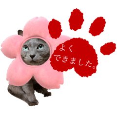 [LINEスタンプ] わんことにゃんこ②
