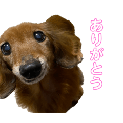 [LINEスタンプ] ぷりんちゃん♡ ②