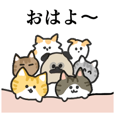 [LINEスタンプ] 猫といぬ