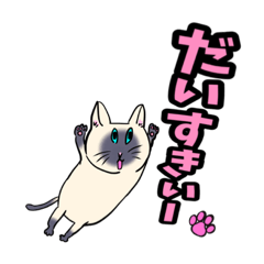 [LINEスタンプ] 大人気☆猫に限定しがちスタンプLv.1