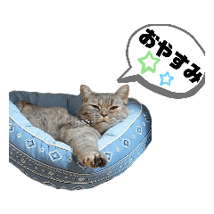 [LINEスタンプ] みゅうの気持ち