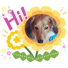 [LINEスタンプ] 東 奈蝶のワンコスタンプ3