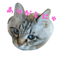 [LINEスタンプ] むんたん