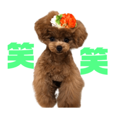 [LINEスタンプ] 6.Hana