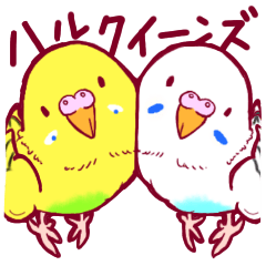 [LINEスタンプ] セキセイインコのハルクイーンズ！