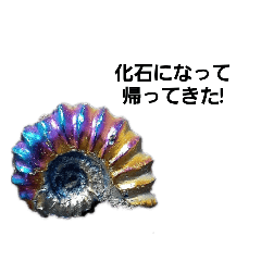 [LINEスタンプ] 面白生き物スタンプ2！