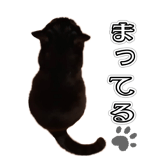 [LINEスタンプ] ちぃ＆ちびとら