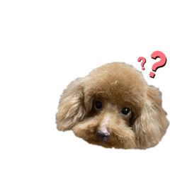 [LINEスタンプ] はっぴーわんこ