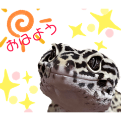 [LINEスタンプ] みなちんのレオパ3(らい編)