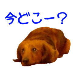 [LINEスタンプ] けん時々レス