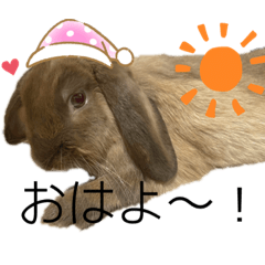[LINEスタンプ] あいさつ〜シバの日常〜