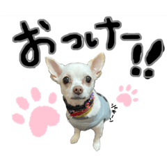 [LINEスタンプ] そわちゃんスタンプ