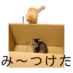 [LINEスタンプ] ムタ・小鉄 コラボ①