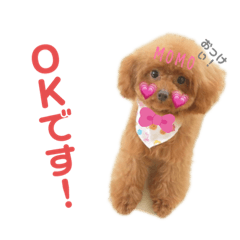 [LINEスタンプ] MOMOスタンプ！