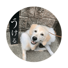 [LINEスタンプ] なつのウォル 2