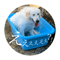 [LINEスタンプ] なつのウォル4