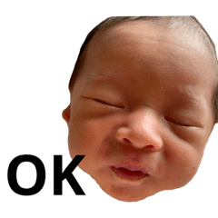 [LINEスタンプ] 田中風雅1