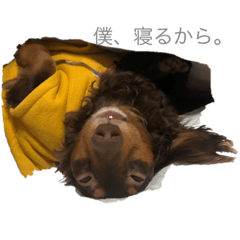 [LINEスタンプ] いなりのスタンプ