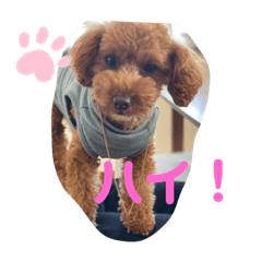 [LINEスタンプ] ショコチン3