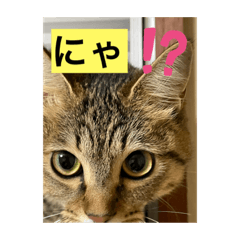 [LINEスタンプ] ちぃびぃ。Part2