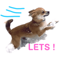 [LINEスタンプ] かなりゅうスタンプ2