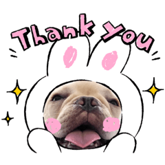[LINEスタンプ] ゆるゆるレオン