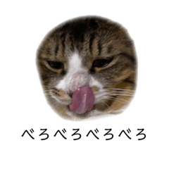 [LINEスタンプ] 寺谷家のソルとルアル