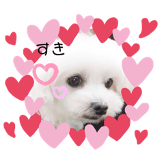 [LINEスタンプ] ちてゃん