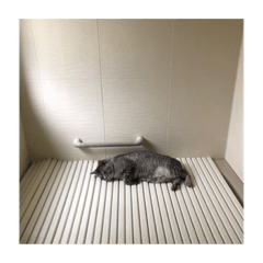 [LINEスタンプ] はだしのげんの画像（メイン）