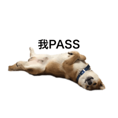 [LINEスタンプ] タラ君ver.2