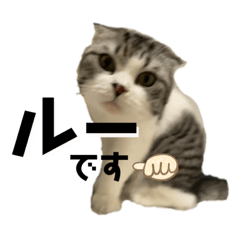 [LINEスタンプ] るーまにあ2