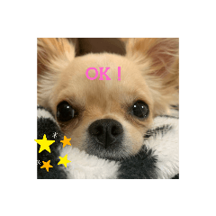 [LINEスタンプ] ティーたんの日記！第2弾！