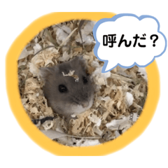 [LINEスタンプ] コロコロなこつぶ 。