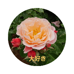 [LINEスタンプ] 毎日に優しさを♥️