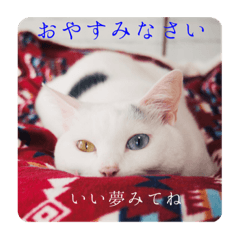 [LINEスタンプ] ユニコの日々
