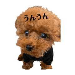 [LINEスタンプ] 虎太郎さんのスタンプ