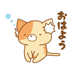 [LINEスタンプ] きょむねこのきょむスタンプ