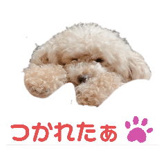 [LINEスタンプ] best COCO